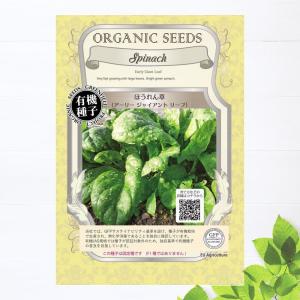 ほうれん草 春秋2号ほうれん草 種・小袋 （25ml） F1（一代交配種