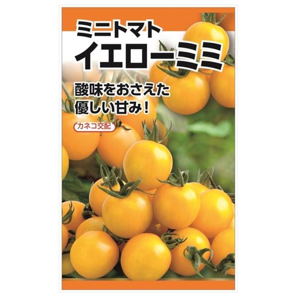 トマト イエローミミ 種・小袋 （0.1ml） F1（一代交配種）