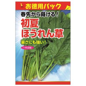 ほうれん草 春秋2号ほうれん草 種・小袋 （25ml） F1（一代交配種