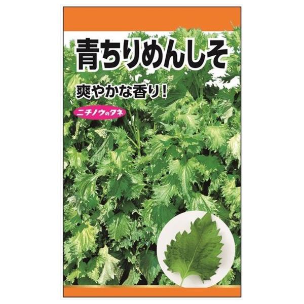 青ちりめんしそ 種・小袋 （6ml） 固定種