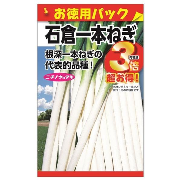 ねぎ 石倉一本ねぎ（お徳用パック） 種・小袋 （21ml） 固定種