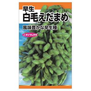 枝豆 白毛えだまめ(早生) 種・小袋 （40粒） 固定種｜hanahirobaonline