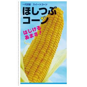 トウモロコシ出品 スイートコーン カクテル84EX 種・小袋 （30粒） F1（一代交配種） 爆