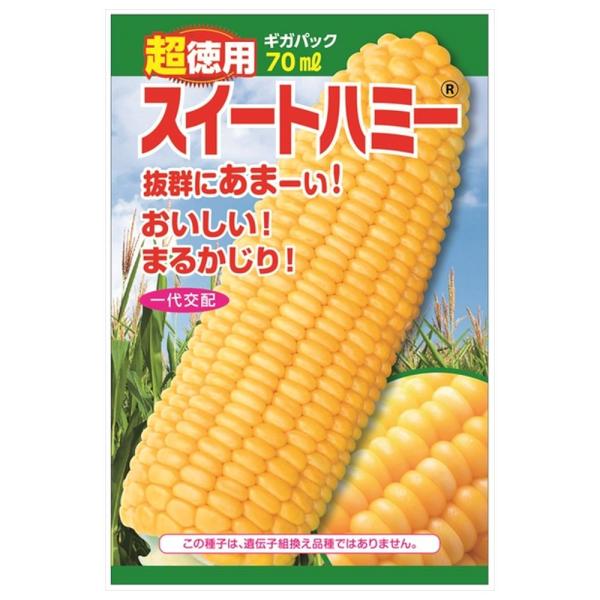 とうもろこし プランター 品種