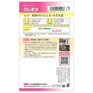 クレオメ 種・小袋 (1ml) 固定種の詳細画像1