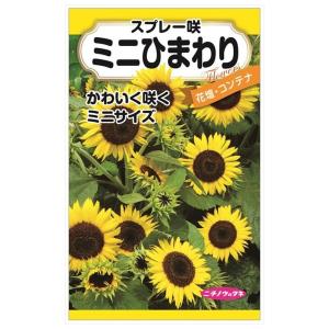 幸せの赤いひまわり 種・小袋 （1ml） 爆買いweek : 苗木部 花ひろば