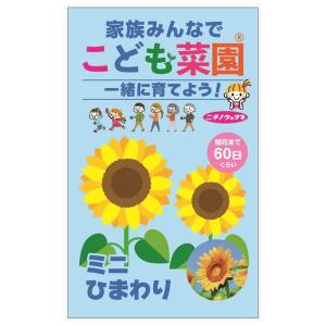 幸せの赤いひまわり 種・小袋 （1ml） 爆買いweek : 苗木部 花ひろば
