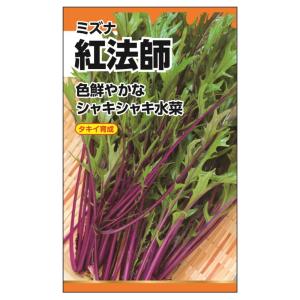サラダ水菜 種・小袋 （10ml） 固定種 爆買いweek : 苗木部 花ひろば