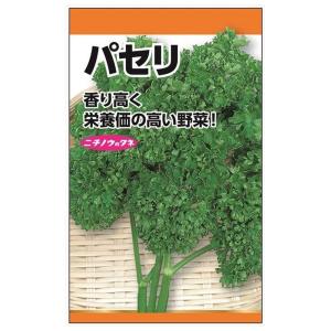 スイートバジル 種・小袋 （2ml） 固定種 爆買いweek : 苗木部 花