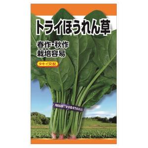 ほうれん草 タキイ交配 トライほうれん草 種・小袋 （20ml） F1（一代交配種）