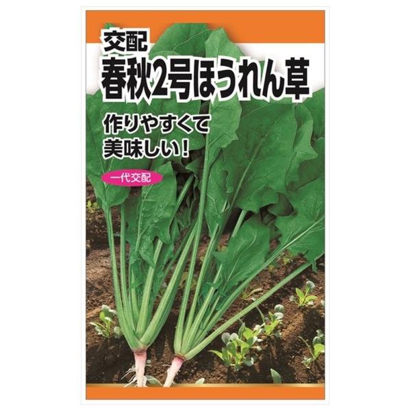 ほうれん草 春秋2号ほうれん草 種・小袋 （25ml） F1（一代交配種）