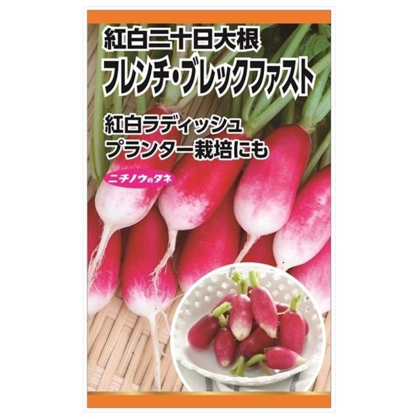 ラディッシュ フレンチ・ブレックファスト(紅白二十日大根) 種・小袋 （5ml） 固定種