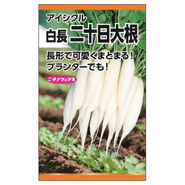 ラディッシュ アイシクル(白長二十日大根) 種・小袋 （5ml） 固定種