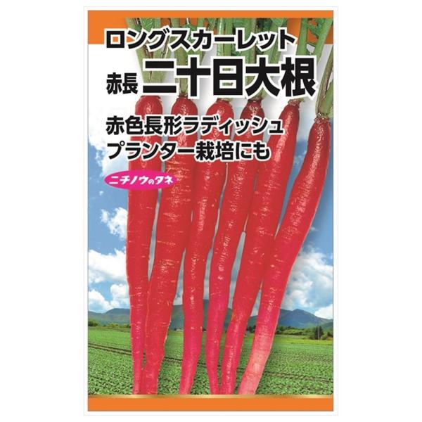 ラディッシュ ロングスカーレット(赤長二十日大根) 種・小袋 （5ml） 固定種