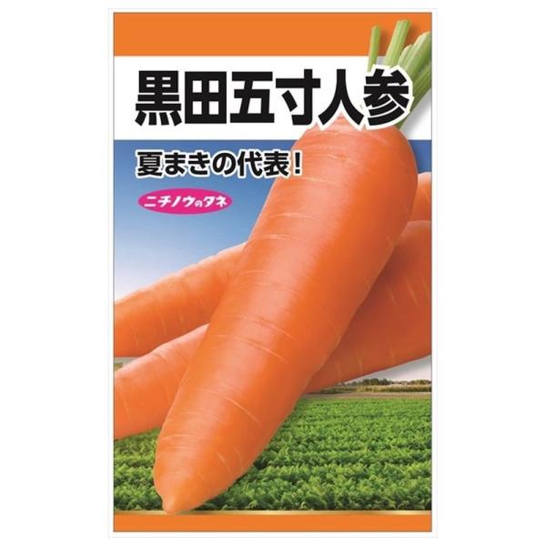 にんじん 黒田五寸人参 種・小袋 （8ml） 固定種