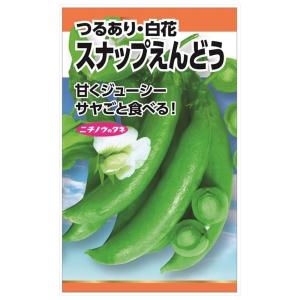 えんどう スナップえんどう(お徳用パック) 種・小袋 （120粒