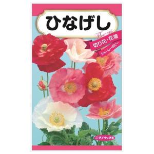 有機種子 朝顔/ミックスカラー Sサイズ 0.6g 種蒔時期 4〜5月 爆買い