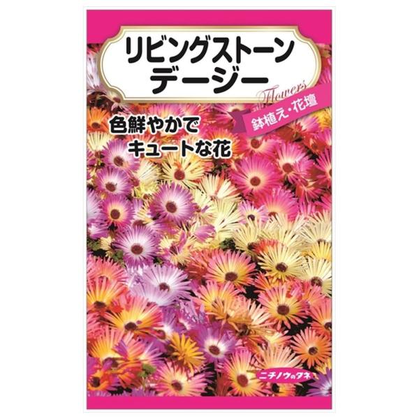 リビングストーンデージー 種・小袋 （0.2ml） 固定種