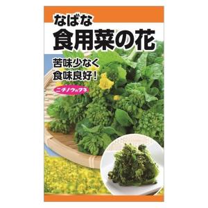 食用菜の花(なばな) 種・小袋 （6ml） 固定種