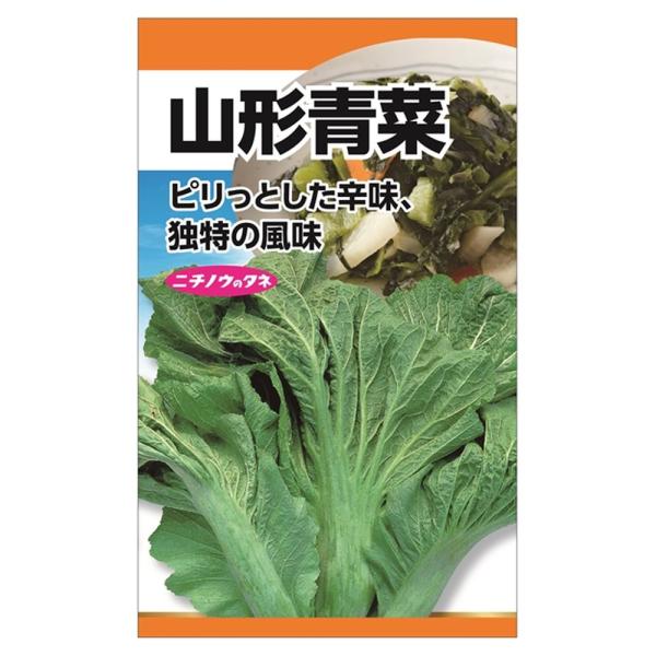 山形青菜(清国せいさい) 種・小袋 （6ml） 固定種