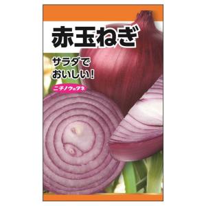 たまねぎ 泉州黄玉ねぎ (おためしパック) 種・小袋 （2ml） 固定種