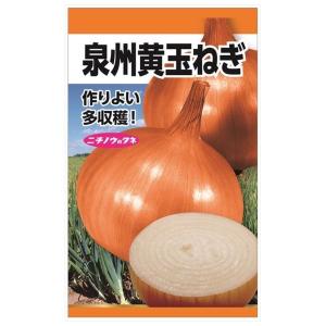 たまねぎ 泉州黄玉ねぎ 種・小袋 （6ml） 固定種