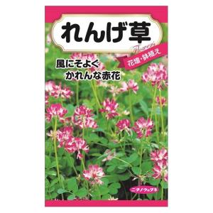 わすれな草 739-FWS212.jpg?1