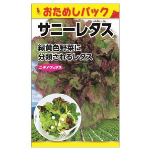 レタス サニーレタス (おためしパック) 種・小袋 （0.5ml） 爆買いweek