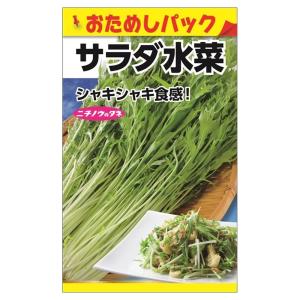 サラダ水菜 (おためしパック) 種・小袋 （0.5ml） 爆買いweek