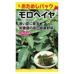 モロヘイヤ (おためしパック) 種・小袋 （0.5ml） 爆買いweek