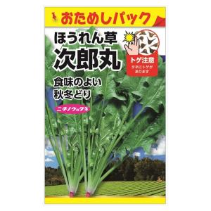 ほうれん草 次郎丸ほうれん草 (おためしパック) 種・小袋 （5ml） 固定種