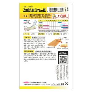 ほうれん草 次郎丸ほうれん草 (おためしパック...の詳細画像1