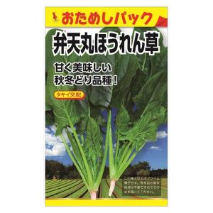 ほうれん草 タキイ交配 弁天丸ほうれん草 (おためしパック) 種・小袋 （5ml） F1（一代交配種）