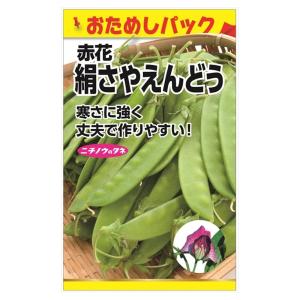 えんどう 赤花 きぬさや えんどう(つるあり) (おためしパック) 種・小袋 （15粒） 固定種