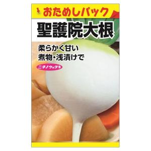 大根 聖護院大根 (おためしパック) 種・小袋 （4ml） 固定種