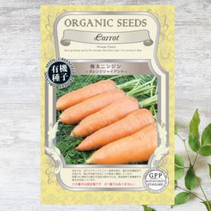 にんじん 五寸にんじん 種・小袋 （8ml） 固定種 : 苗木部 花