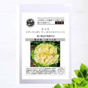 有機種子 シャロット 種 (ベルギーエシャロット、コンサーバー) S