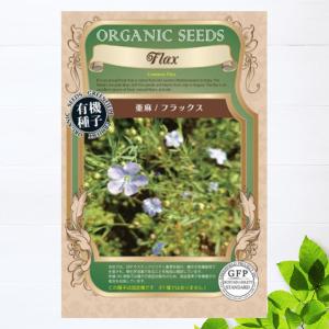 有機種子 イタリアンパセリ Sサイズ 0.8g（約480粒） 種蒔時期 3〜5月