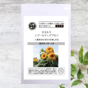 幸せの赤いひまわり 種・小袋 （1ml） 爆買いweek : 苗木部 花ひろば