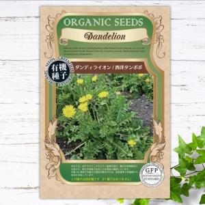 有機種子 イタリアンパセリ Sサイズ 0.8g（約480粒） 種蒔時期 3〜5月