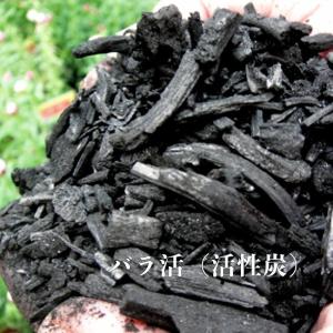 珪酸塩白土-ミリオンA 500g（ブロックシリコ） : 植物・園芸専門店