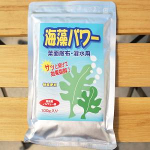 海藻のパワー （100g） ミネラル,アミノ酸入り活力剤｜hanahirobaonline