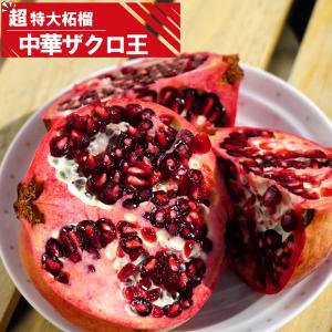 無農薬栽培　柘榴の苗木　高さ約150cm(実生)(四年目) 柘榴の木 柘榴苗木 【6寸鉢植え】タネなしザクロ（種無しザクロ
