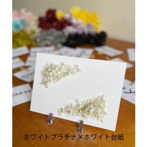 hanahito DENPO 〜カード電報Mo...の詳細画像4