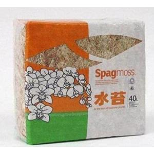 ニュージーランド産 水苔 AAAA 500g : チャーム charm ヤフー