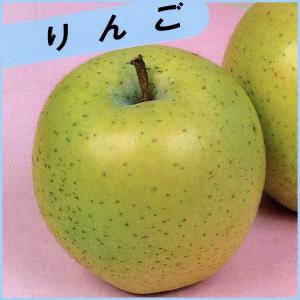 青リンゴ(林檎)苗木　王林