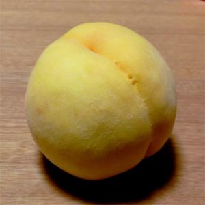 桃 苗木 【黄金桃 （おうごんとう）】 3年生 接ぎ木 約1.3m 大苗