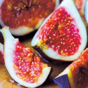 イチジク　ゴールドフィグ　実付き特大苗　果樹 イチジク ゴールドフィグ 実付き特大苗 果樹 イチジク ゴールドフィグ