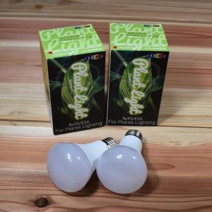 Kaiju Plant 怪獣ビームHIGH リフレクター付き ぐんぐん育つ 室内園芸