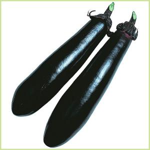 予約販売　茄子（ナス）　黒陽長なすの苗